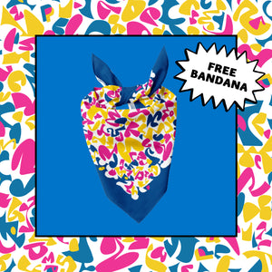 PayPal Bandana